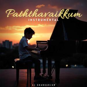 Paththavaikkum - Instrumental (From