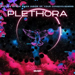 Plethora (Explicit)