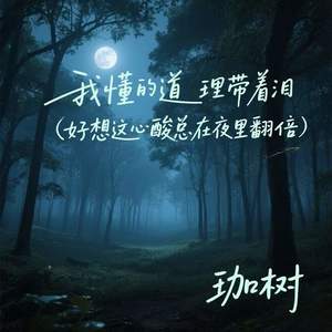 我懂的道理带着泪 (好想这心酸总在夜里翻倍)