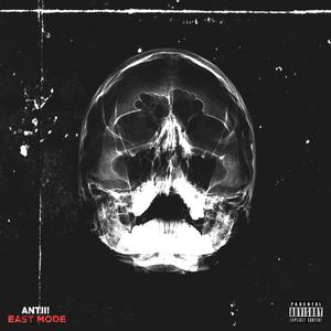 Questions (Explicit)