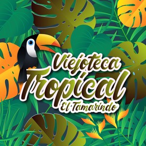 Viejoteca Tropical / El Tamarindo