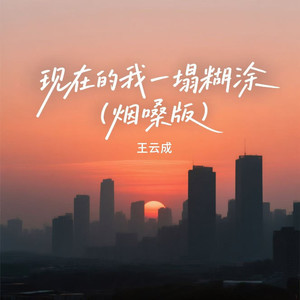 现在的我一塌糊涂 (烟嗓版) - 王云成封面