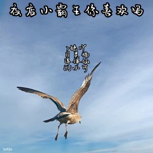 顶级环绕，耳朵都震飞了