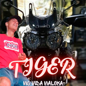 Tiger (Explicit)