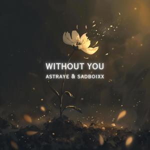 Without You