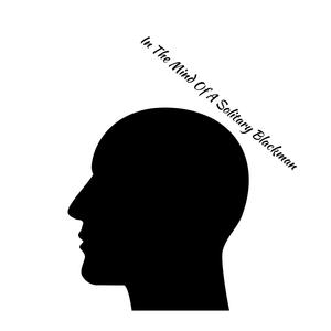 In The Mind Of A Solitary Blackman (feat. R Collins) (Explicit)