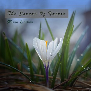 See You Again (Water Version)