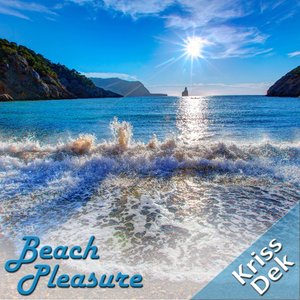 Beach Pleasure (DJ Rigi Remix)