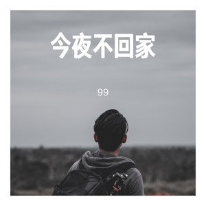 今夜不回家 (Remix)