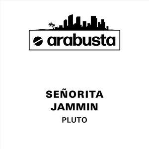 Señorita (Club Mix)