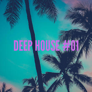 Deep House #01