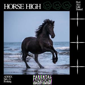 HORSE HIGH (feat. Sick-G & Rvnking)