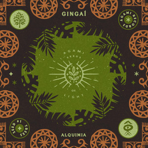 A Visão do Indio Pè no Chão