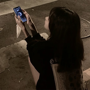 金达莱花 (DJ版)