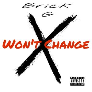 Won't Change (Explicit)