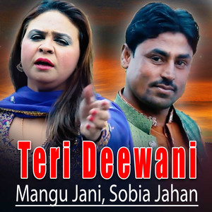 Teri Deewani - Single