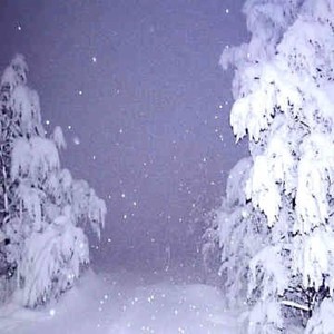 W1Nt3R_B0Otl3G (Slowed)