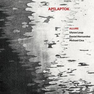 APILAPTOK