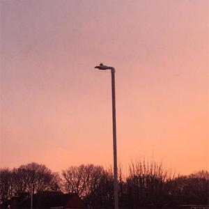 Miss You(feat. A Distant Voice) (Explicit)