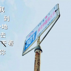 王晓波 - 我到外地去看你