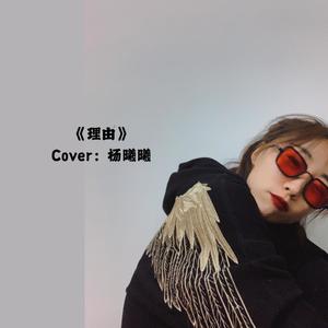 理由