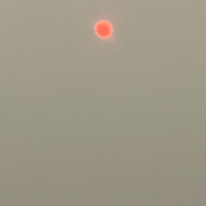 DOORMATT (CO.FEE Remix)