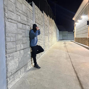 Money Truck Freestyle (Explicit)