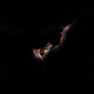 Drift Anthem (Explicit)