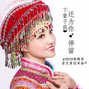 下辈子我还为你停留