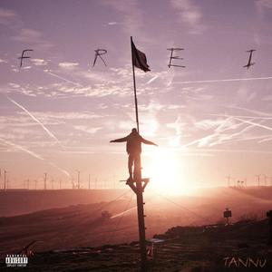 FREI (Explicit)