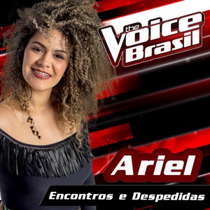 Encontros E Despedidas (The Voice Brasil 2016)