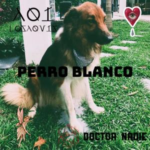 Perro blanco (feat. Losaquis) [Explicit]