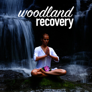 Woodland Recovery