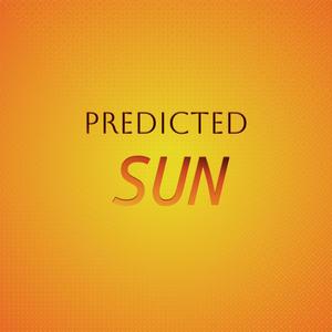 Predicted Sun