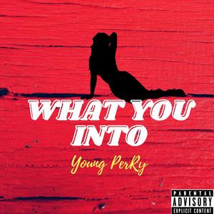 What You Into (Explicit)