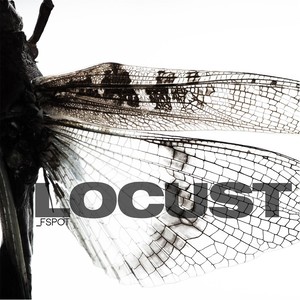 Locust