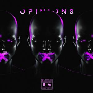 Opinions (Explicit)