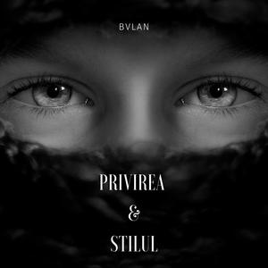 PRIVIREA & STILUL