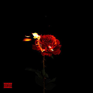 BURNING ROSES (Explicit)