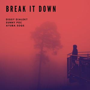 Break It Down (feat. Sunny POC & Ayuba SOQS) (Explicit)