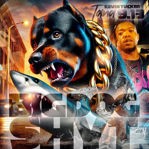 Big Dog Shyt (Clean)