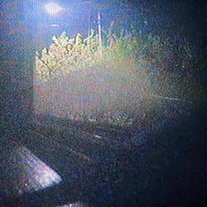 reek of cheap cigerettes (Explicit)