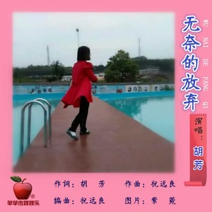 无奈的放弃(胡芳&胡平）封面