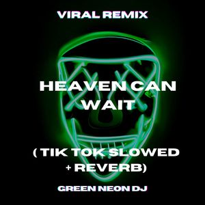 No I Don't Wanna Leave My Baby Alone Heaven Can Wait (Tik Tok Slowed + Reverb) (Remix)