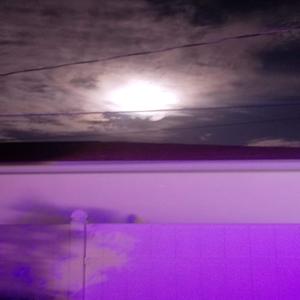 Defeat Lap (Explicit)