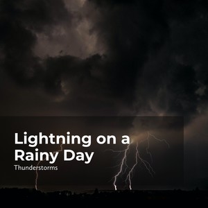 Lightning on a Rainy Day