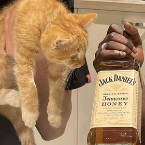 stop lying (feat. Melv!n & Burn) (Explicit)