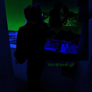 in my feelings (Explicit)