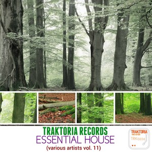 Bailando (Tribal Train Mix)