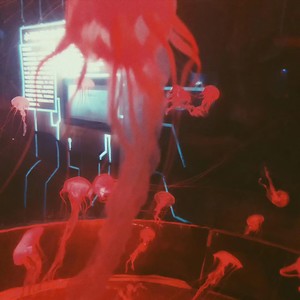 Beautiful (Japanese ver.)